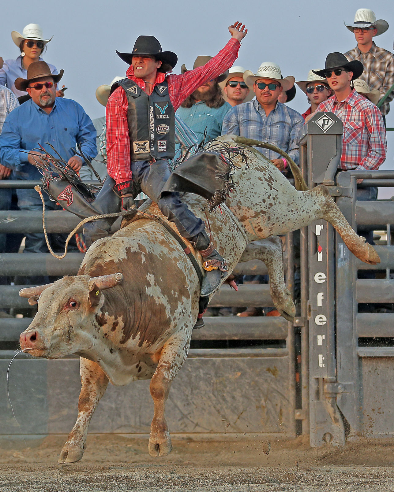 091520-elk-spt-gold-rush-lr720.jpg